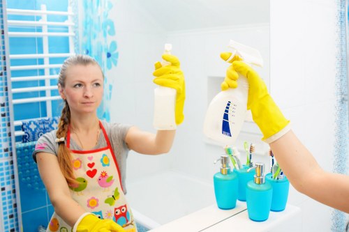 Professional mattress cleaning service in Pimlico for homes and flats