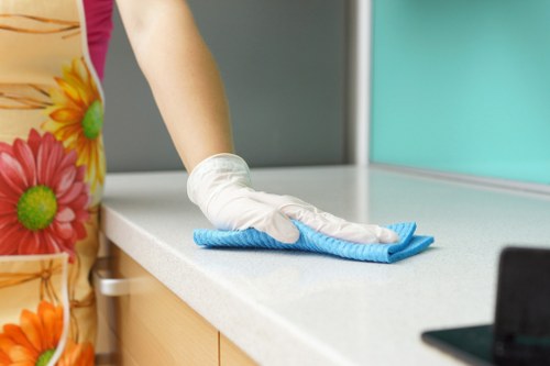 Regular cleaning service for a Pimlico home interior