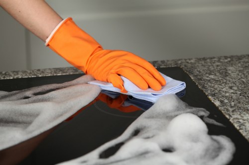 Upholstery and rug pet smell removal service in Pimlico