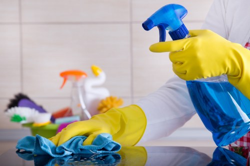 Window cleaning service for Pimlico terraced homes and flats