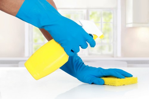 Local Pimlico cleaning team working in a central London property
