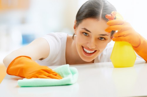 Local cleaning service in Pimlico maintaining a stylish apartment