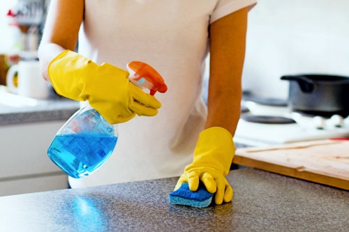 Professional end of tenancy cleaning for a Pimlico flat interior