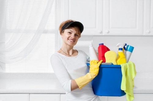 Detailed short-let cleaning service in Pimlico with vacuuming and surface sanitising