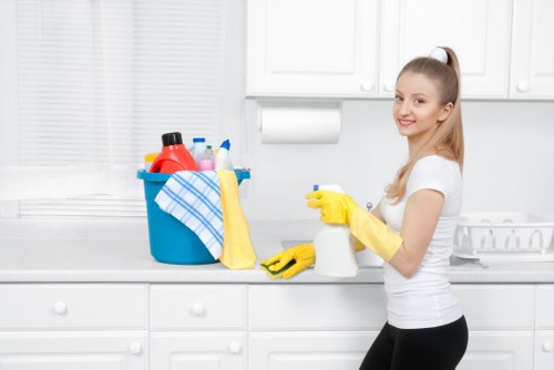 Professional window cleaning for a Pimlico residential property