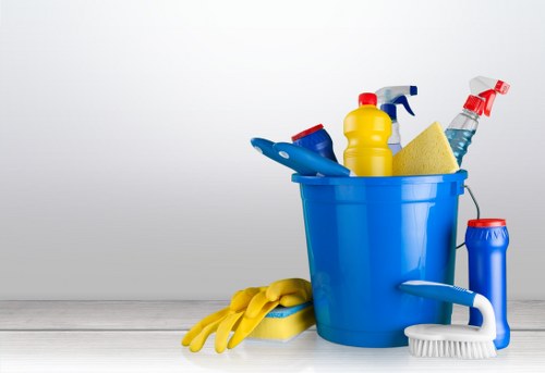 Local cleaner working in a Pimlico apartment