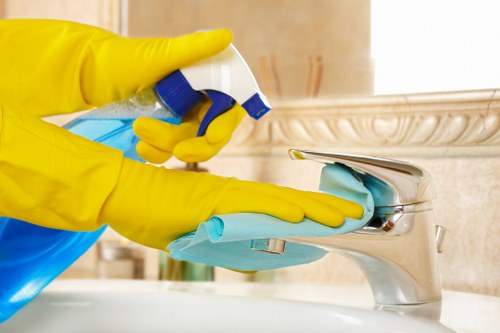 Detailed bathroom cleaning in a Pimlico property before move-in