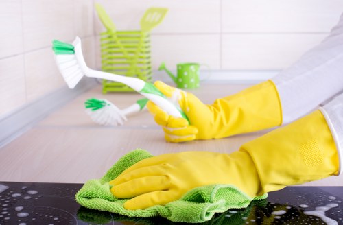 Preparation checklist and service setup for mattress cleaning in Pimlico