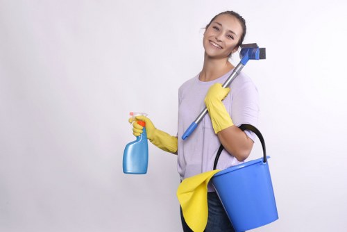 Cleaners Pimlico working with attention to detail in a local property