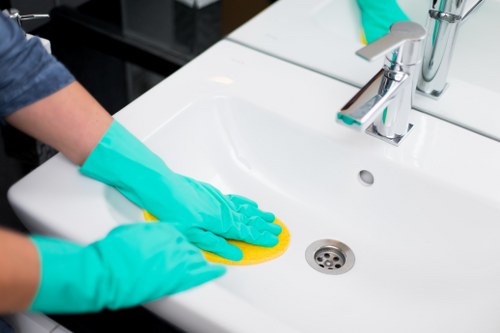 Professional stain removal for carpets in Pimlico homes