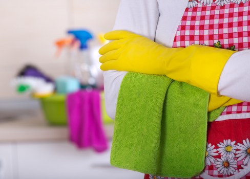 Deep cleaning of oven racks and trays during a Pimlico appointment
