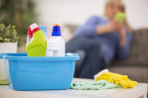 Inclusive online experience for cleaners in Pimlico with readable content