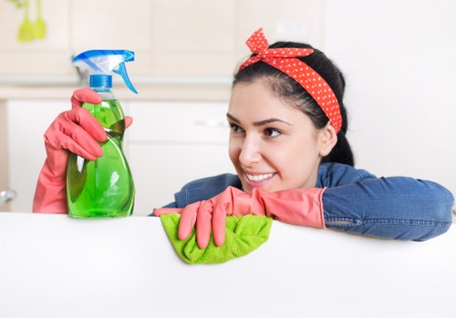 Regular home cleaning service for Pimlico residents