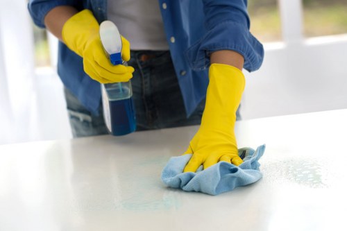 Kitchen and bathroom turnover cleaning for a short-let property in Pimlico